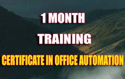 BhardwazInfotech